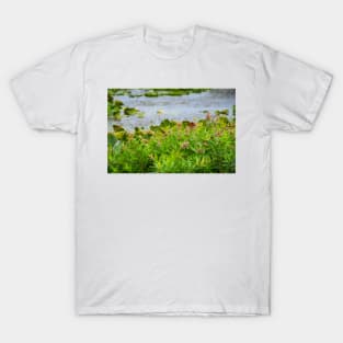 Monarchs at Lunch T-Shirt